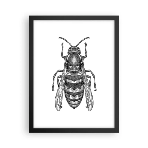 Affisch i svart ram - Från insektplaneten - 30x40 cm