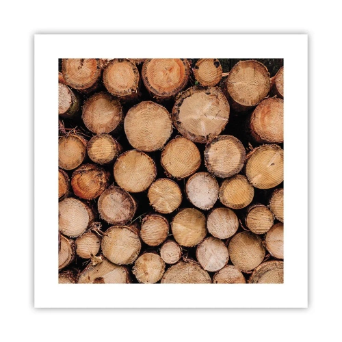 Affisch - Ny början - 40x40 cm