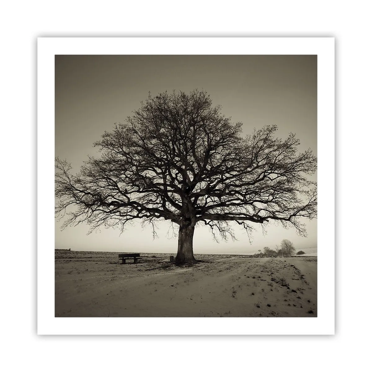 Affisch - Härifrån till evighet - 60x60 cm