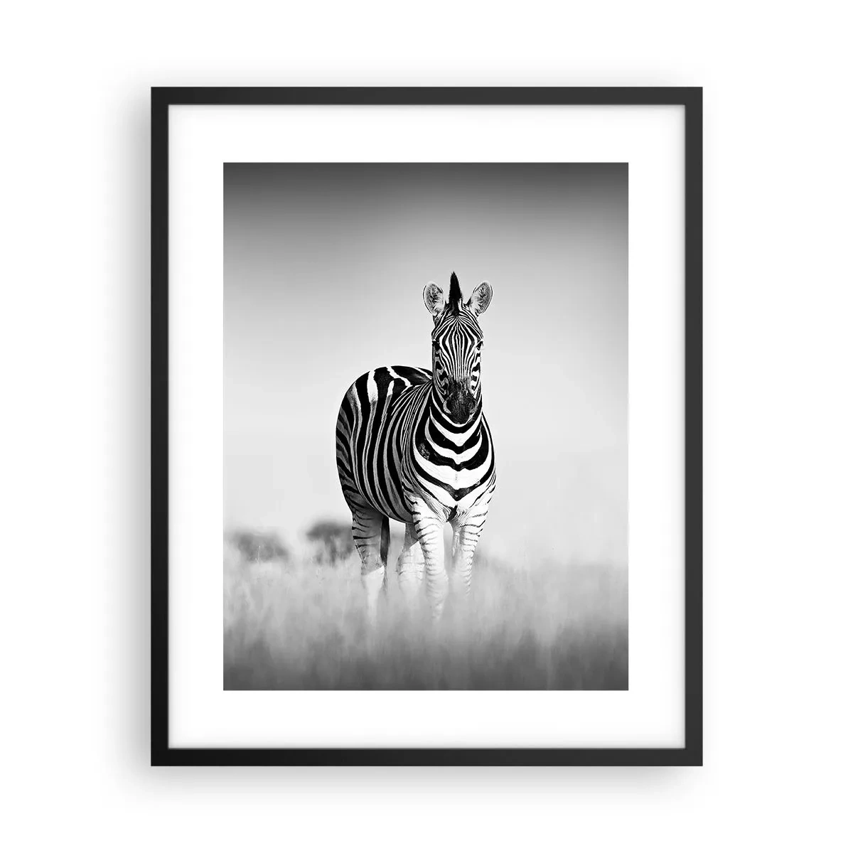 Affisch i svart ram - Men dock världen är svart-vit - 40x50 cm