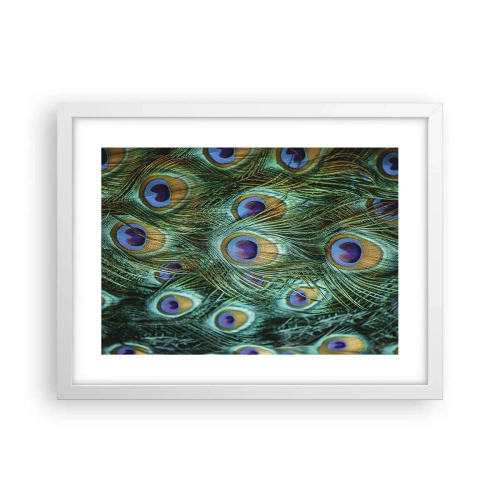 Affisch i vit ram - Påfågels blick - 40x30 cm
