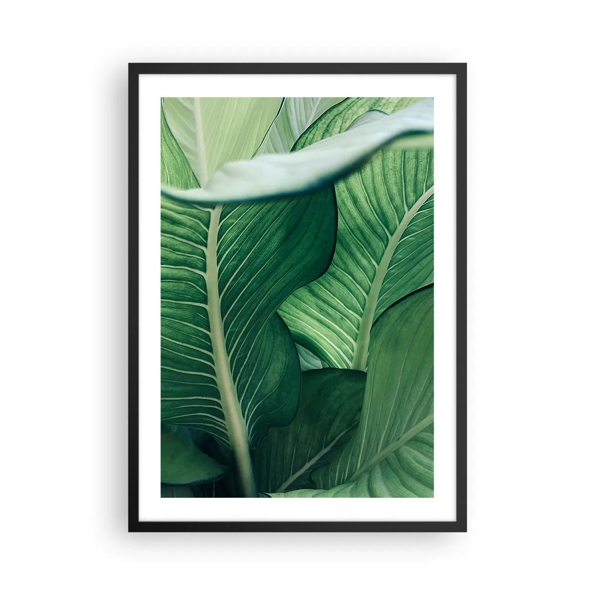 Affisch i svart ram - Närbild av de gröna bladen på en växt - 50x70cm - Livet intensivt grönt - Modern väggdekoration för vardagsrum och sovrum ARTTOR