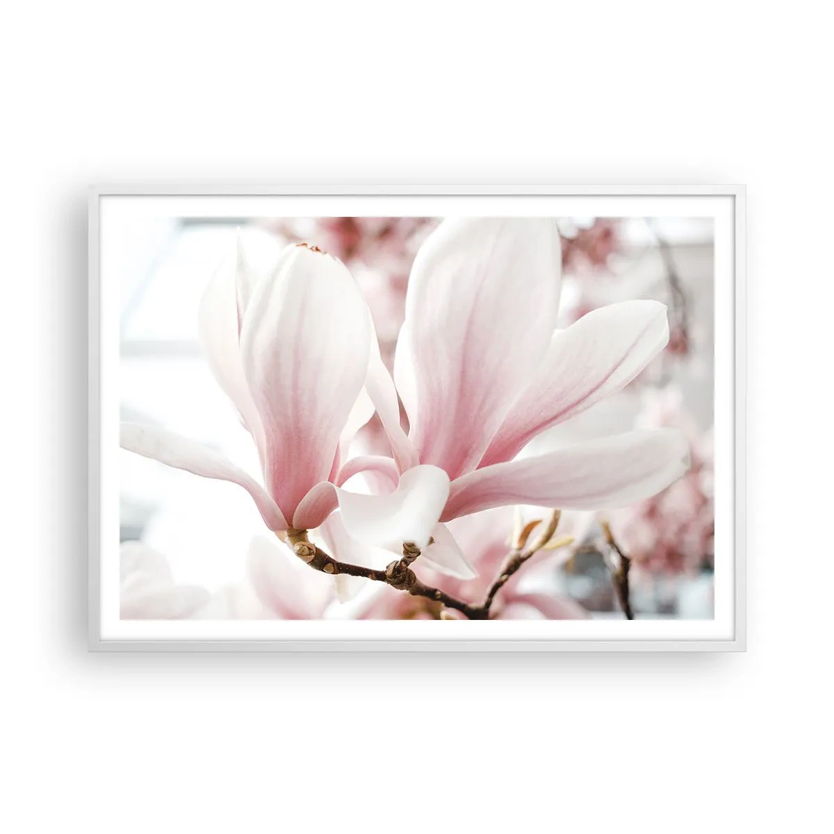 Affisch i vit ram - Oändlig känslighet - 100x70 cm