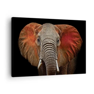 Canvastavla - Bild på duk - Porträtt av en elefant på svart bakgrund - 70x50cm - Jag är vild, och du? - Modern väggdekoration för vardagsrum och sovrum ARTTOR