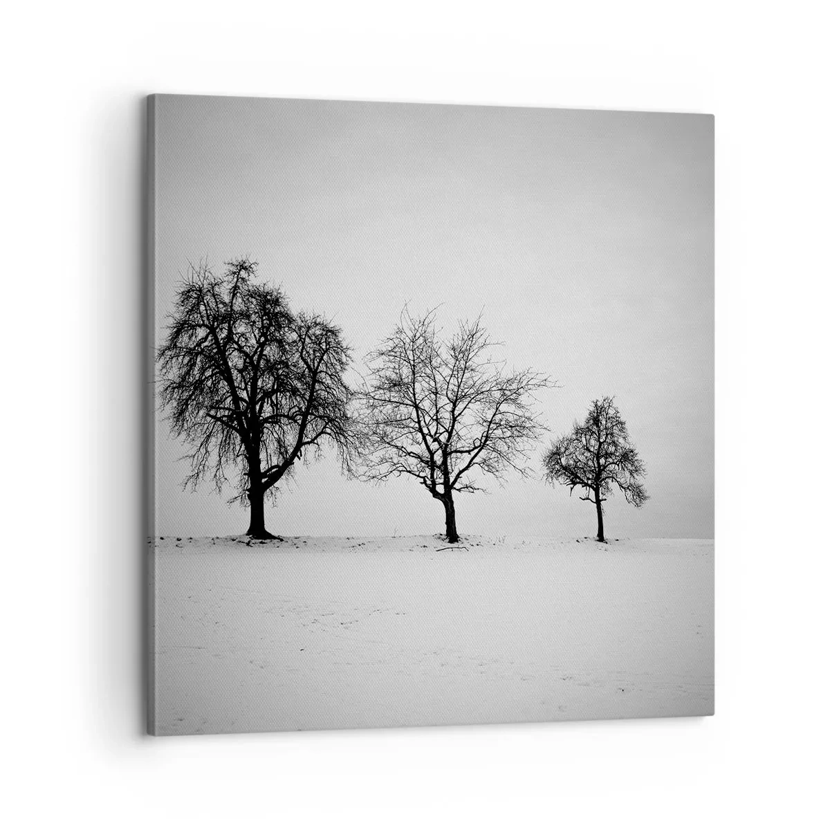 Canvastavla - Bild på duk - Vad drömmer de om? - 60x60 cm