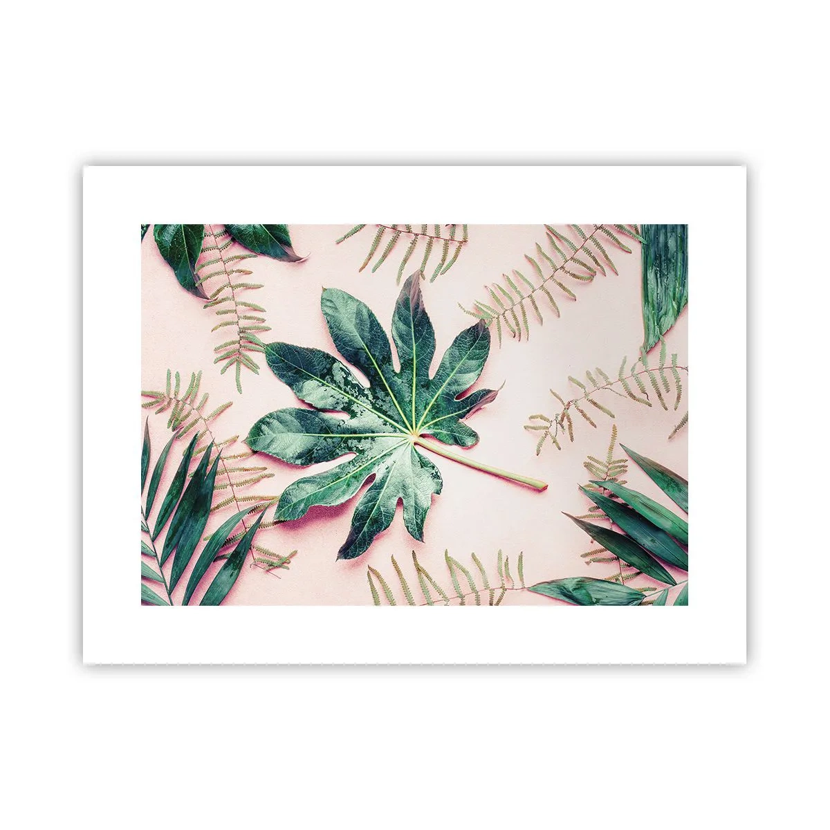 Affisch - Grönskans studie mot rosa bakgrund - 40x30 cm