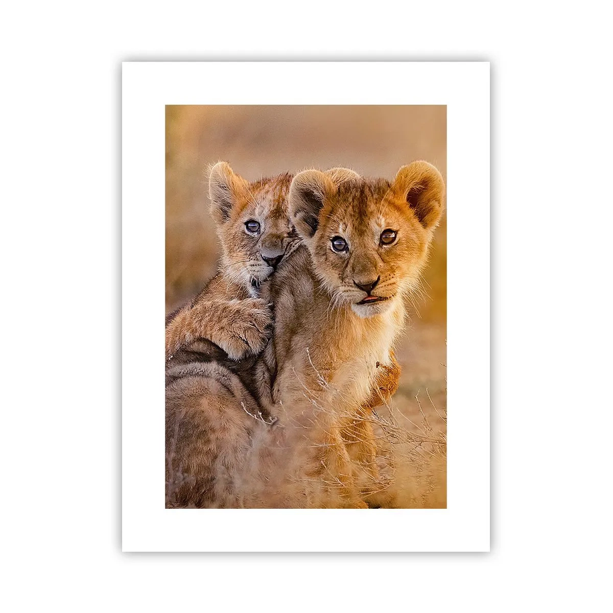 Affisch - Stör inte! Vi har kul - 30x40 cm