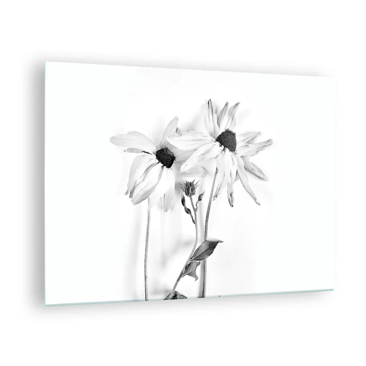 Glastavla - Bild på glas - Svartvita blommor i minimalistisk stil - 70x50cm - Ingen vill vara ensam - Modern väggdekoration för vardagsrum och sovrum ARTTOR