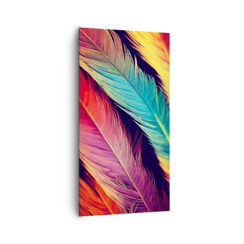 Canvastavla - Bild på duk - Fjäderlik regnbåge - 65x120 cm