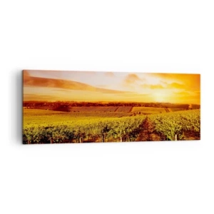 Canvastavla - Bild på duk - Fina druvor med en gnutta sol - 140x50 cm