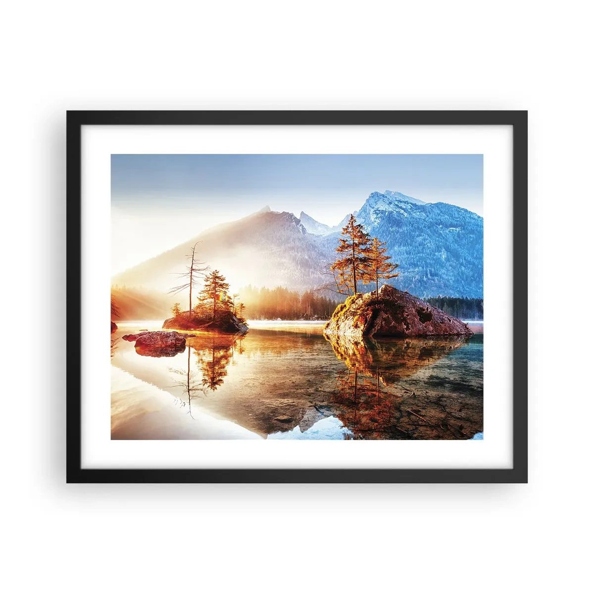 Affisch i svart ram - Naturen i ett nytt ljus - 50x40 cm