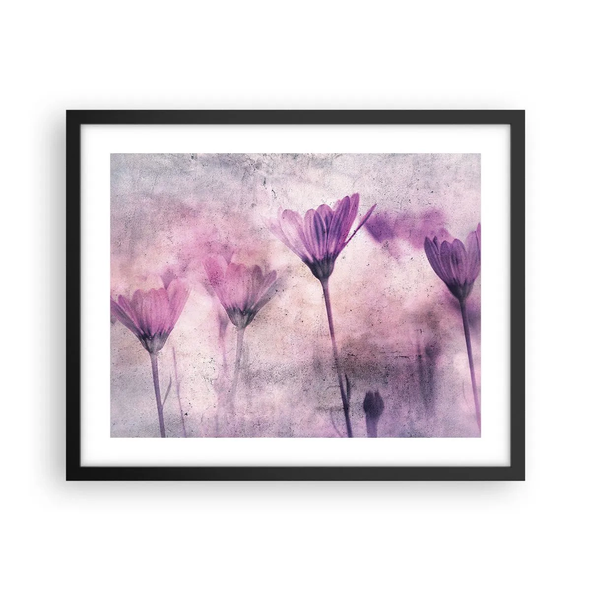 Affisch i svart ram - Blommornas sömn - 50x40 cm