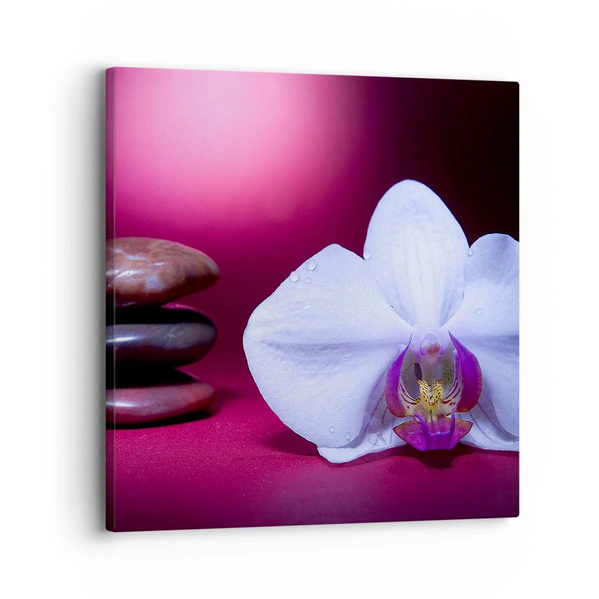 Canvastavla - Bild på duk - En fräschhetsstudie i violett - 30x30 cm