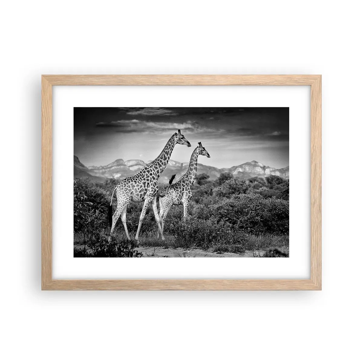 Affisch i ram av ljusek - Högre klasser i Afrika - 40x30 cm