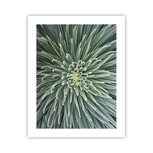 Affisch - Stjärna föds - 40x50 cm