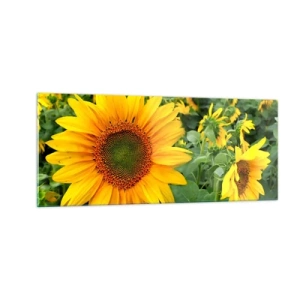 Glastavla - Bild på glas - Hundratals brinnande solar - 100x40 cm