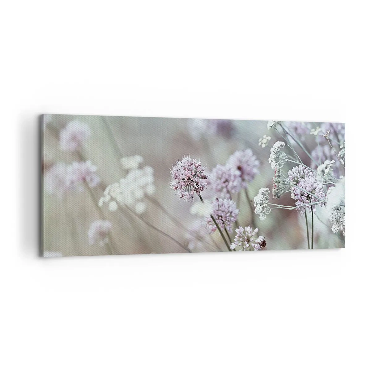 Canvastavla - Bild på duk - Söta örtfiligraner - 100x40 cm