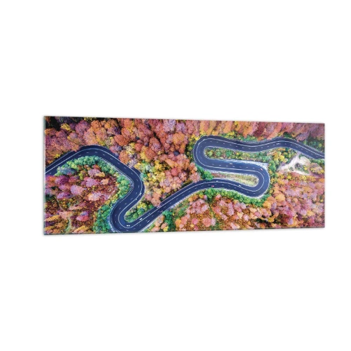 Glastavla - Bild på glas - Slingrande väg genom skogen - 140x50 cm