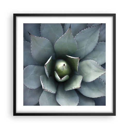 Affisch i svart ram - Lockar och varnar - 50x50 cm