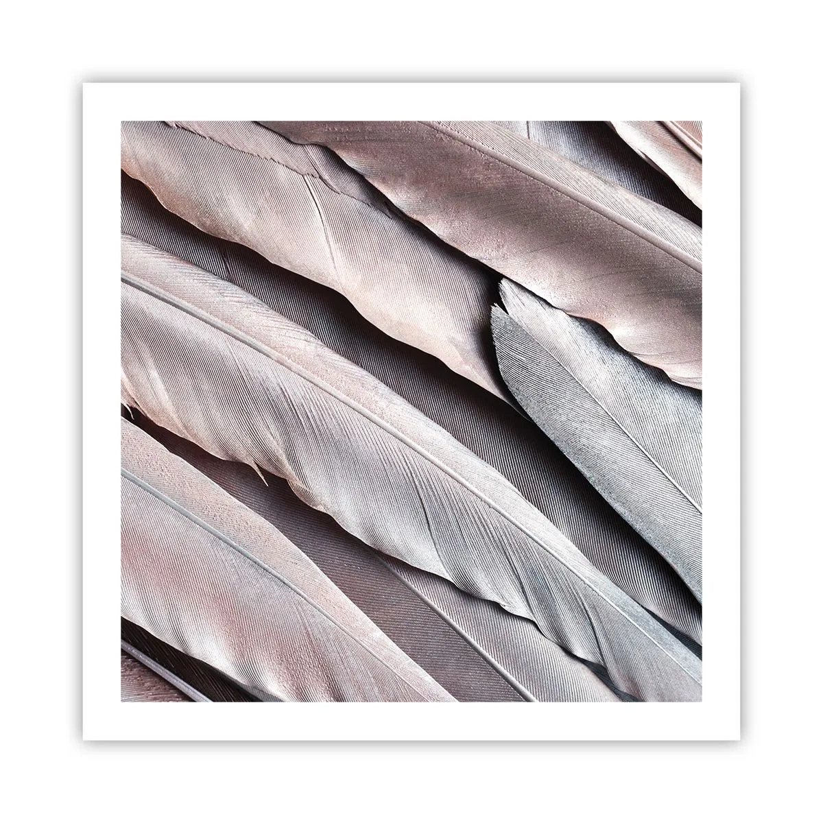 Affisch - I rosa silver - 60x60 cm