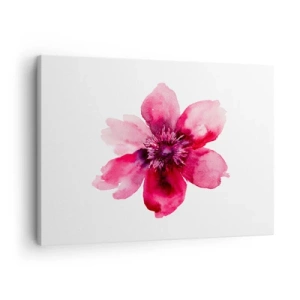 Canvastavla - Bild på duk - Rosa blomma i akvarellstil på vit bakgrund - 70x50cm - Doftande karminkyss - Modern väggdekoration för vardagsrum och sovrum ARTTOR