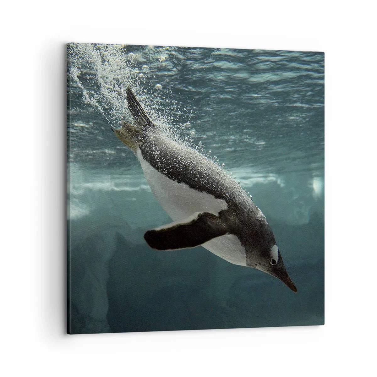 Canvastavla - Bild på duk - Välkommen till min värld - 50x50 cm