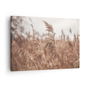 Canvastavla - Bild på duk - Gyllene gräs mot bakgrund av höstlandskap - 70x50cm - Hösten är framme på åkrarna - Modern väggdekoration för vardagsrum och sovrum ARTTOR