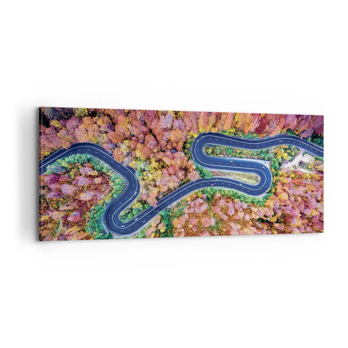 Canvastavla - Bild på duk - Slingrande väg genom skogen - 100x40 cm