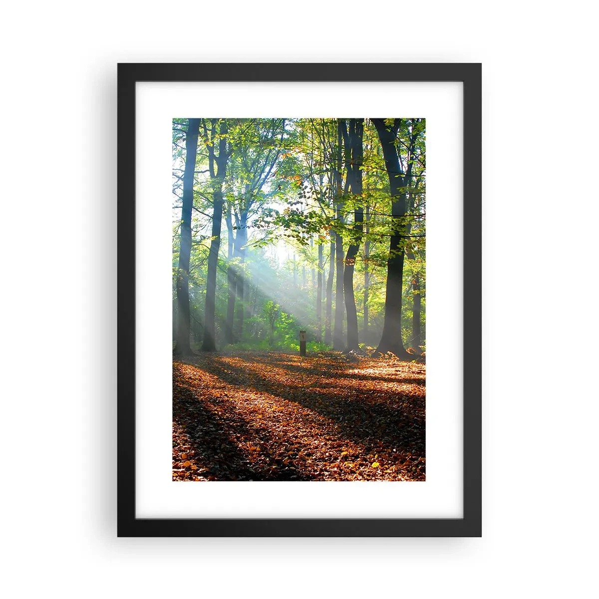 Affisch i svart ram - Sken-och skuggspel - 30x40 cm