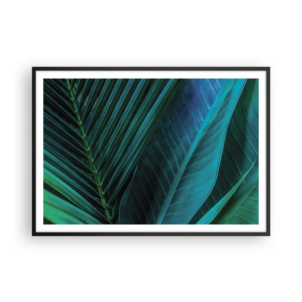 Affisch i svart ram - Grönskans anatomi - 100x70 cm