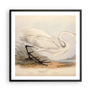Affisch i svart ram - En dam i vassen - 60x60 cm