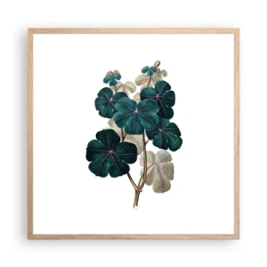 Affisch i ram av ljusek - Från ett gammalt herbarium - 60x60 cm