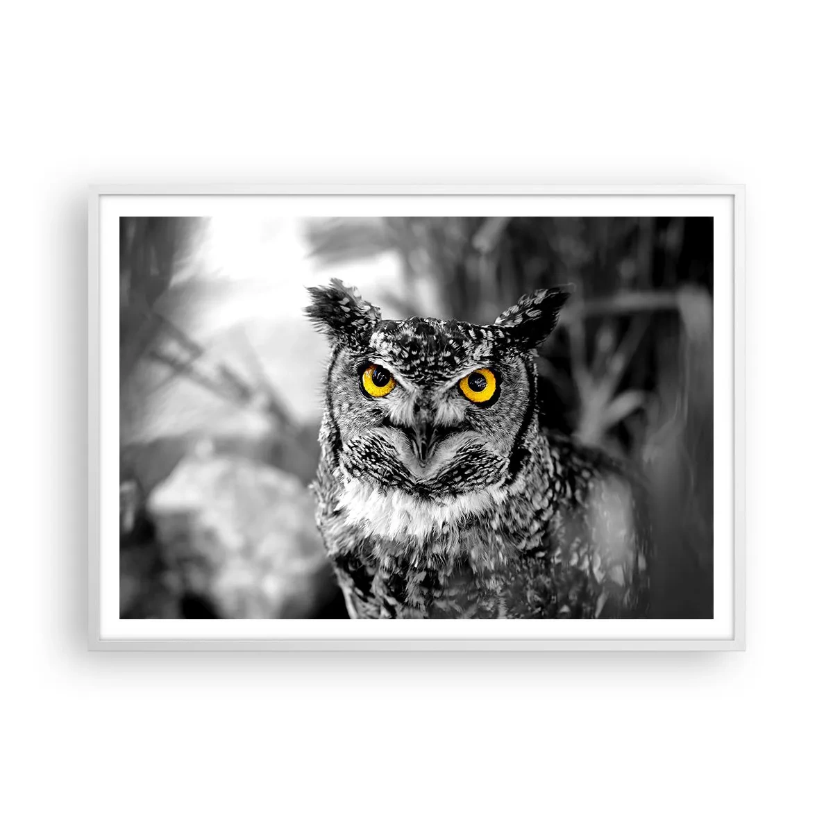 Affisch i vit ram - Inget kommer undan - 100x70 cm