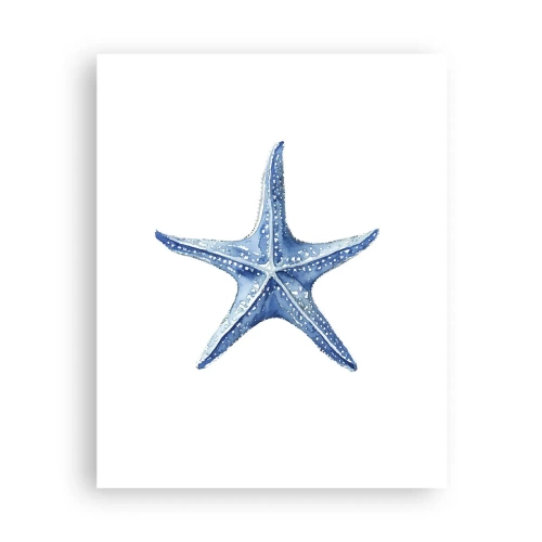 Affisch - Havets stjärna - 40x50 cm