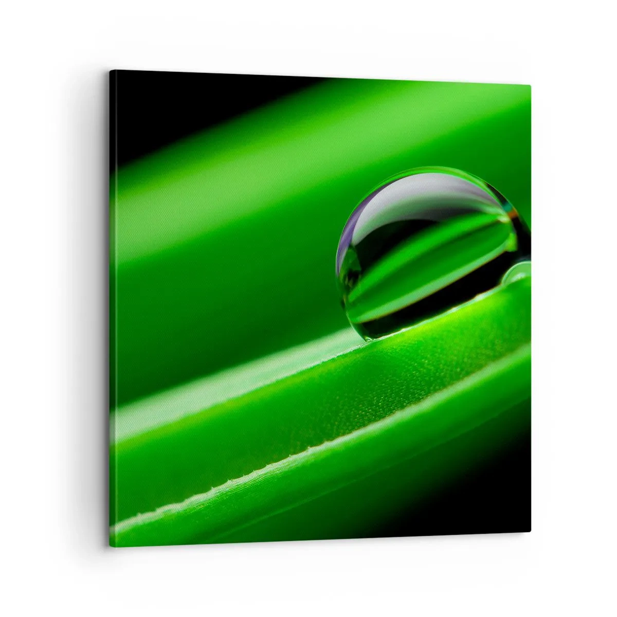 Canvastavla - Bild på duk - Livet på nära håll - 60x60 cm