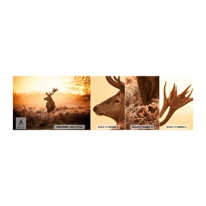 Fototapet Prov Standard Eco - Herre på godset - Landskap, Rådjur, Djur - 100x30 cm