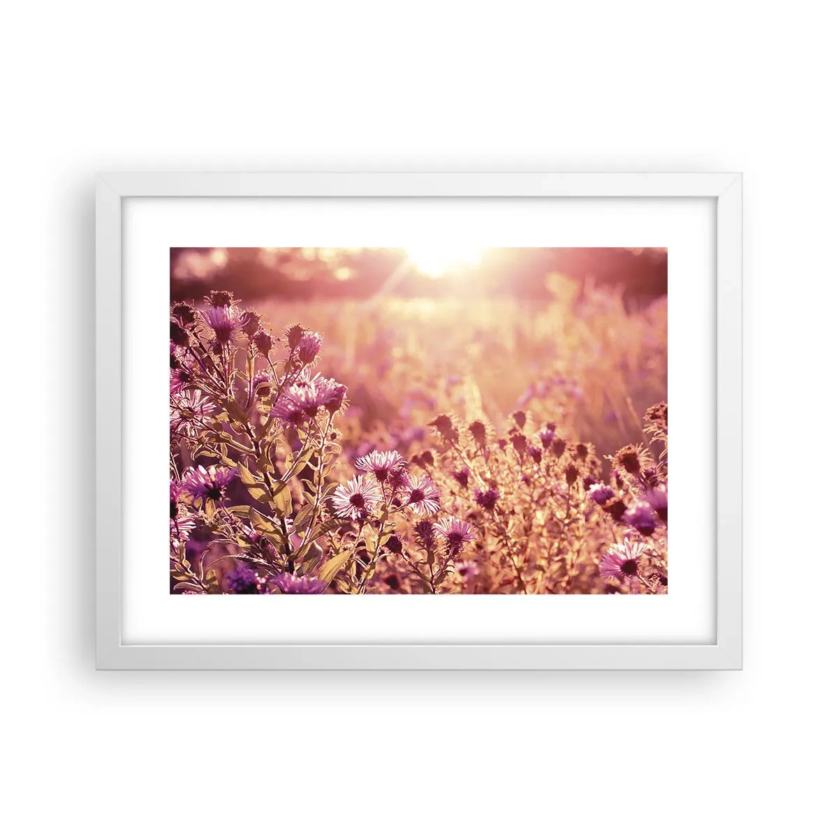 Affisch i vit ram - Innan sommaren går bort - 40x30 cm