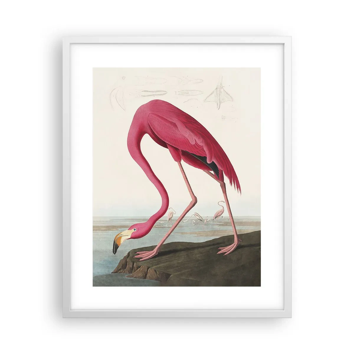 Affisch i vit ram - Underlig varelse - 40x50 cm