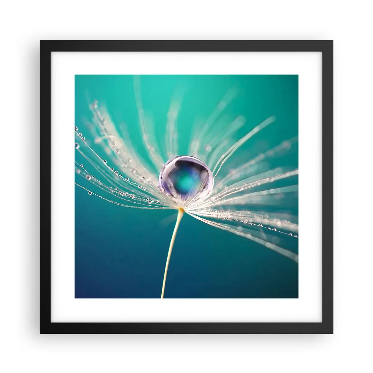 Affisch i svart ram - Mystisk stund - 40x40 cm