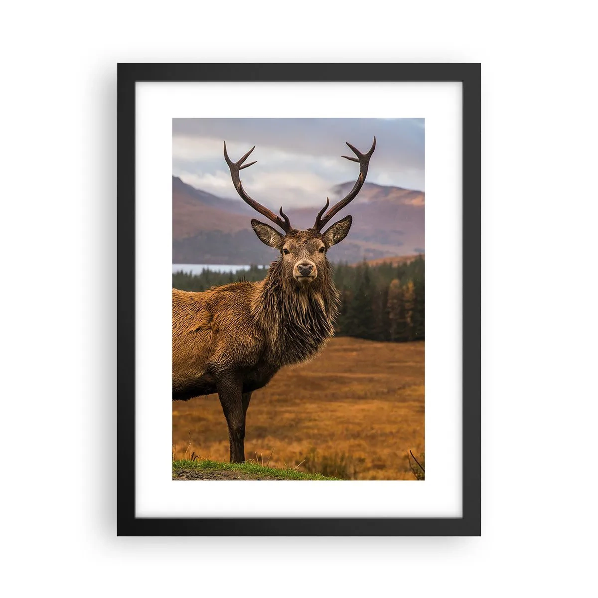 Affisch i svart ram - Naturens majestät - 30x40 cm