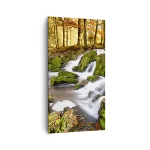 Canvastavla - Bild på duk - Kvickt genom höstskogen - 55x100 cm