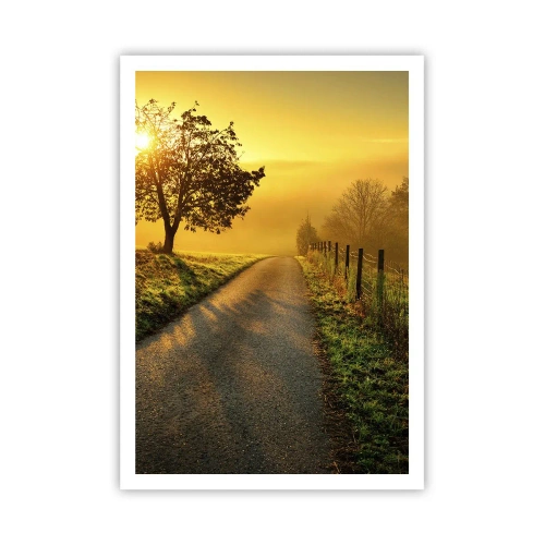 Affisch - Honungfärgad eftermiddag - 70x100 cm