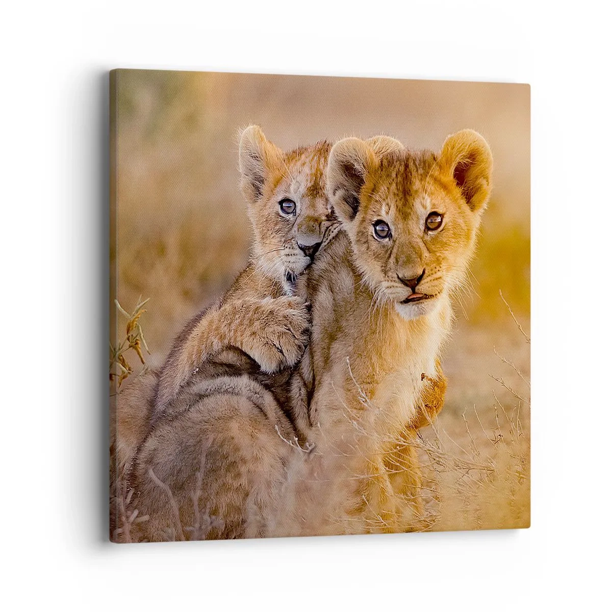 Canvastavla - Bild på duk - Stör inte! Vi har kul - 40x40 cm