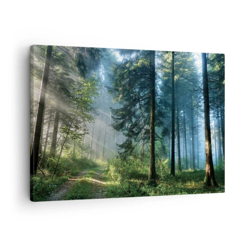 Canvastavla - Bild på duk - En skogsstig upplyst av morgonsolens strålar - 70x50cm - Strålande på morgonen - Modern väggdekoration för vardagsrum och sovrum ARTTOR