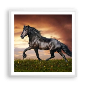 Affisch i vit ram - Svarta prinsen - 60x60 cm