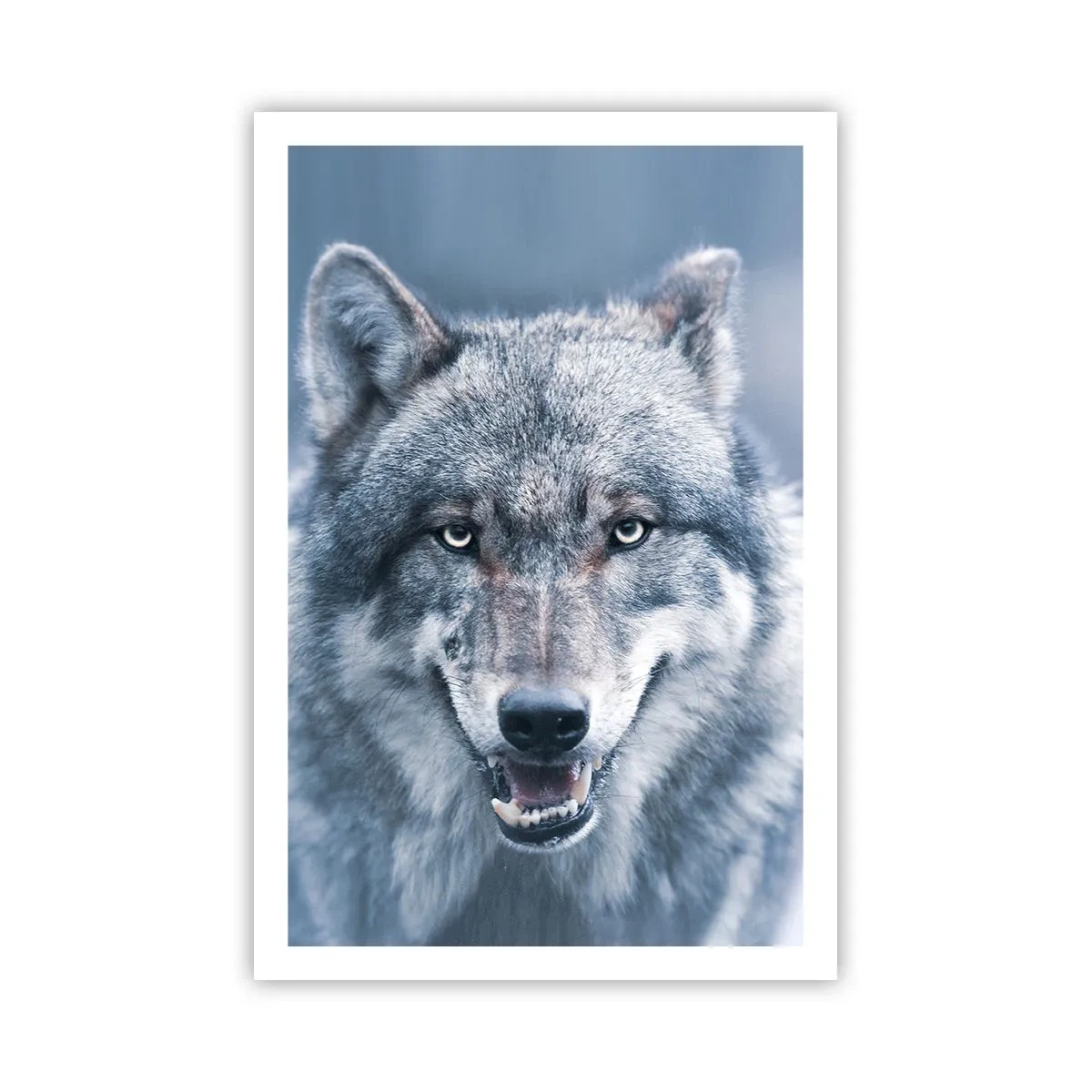 Affisch - Tar du utmaningen? - 61x91 cm