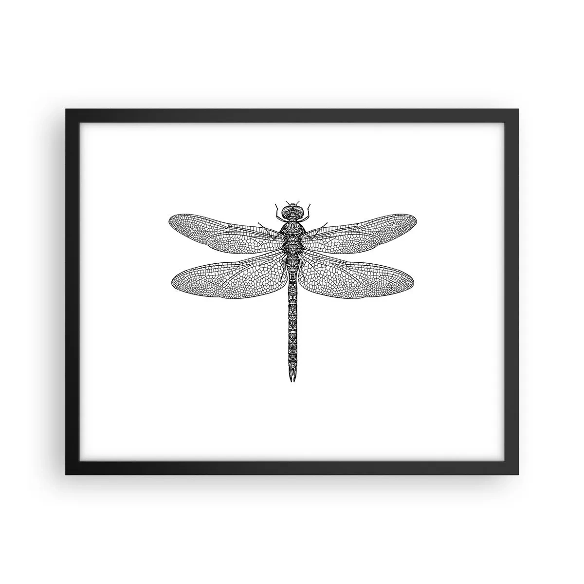 Affisch i svart ram - Precision i naturen - 50x40 cm