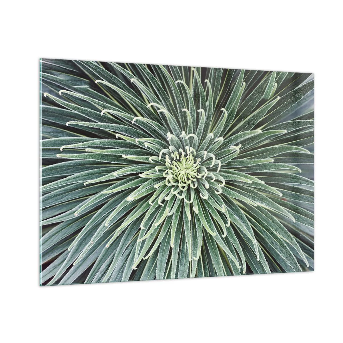 Glastavla - Bild på glas - Stjärna föds - 100x70 cm