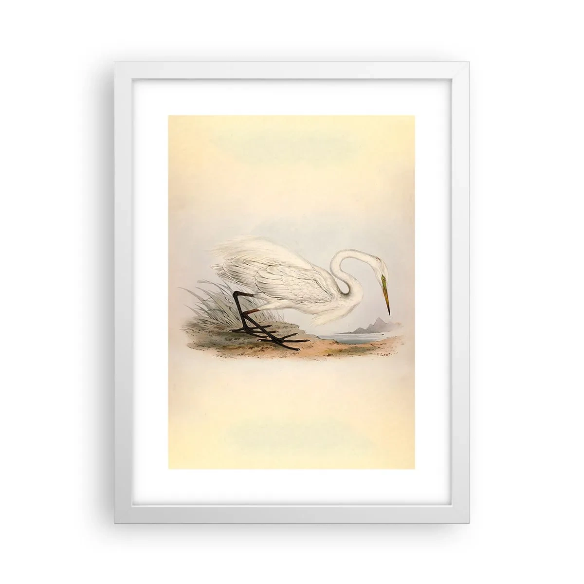 Affisch i vit ram - En dam i vassen - 30x40 cm