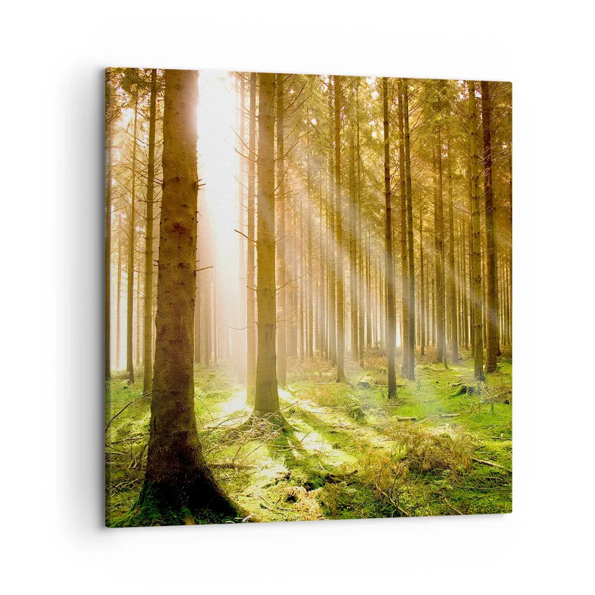 Canvastavla - Bild på duk - Snart kommer alverna - 50x50 cm